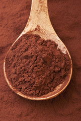 cacao in polvere