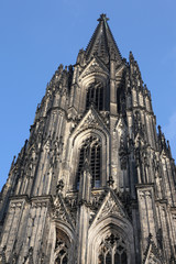 Fototapeta premium Kölner Dom