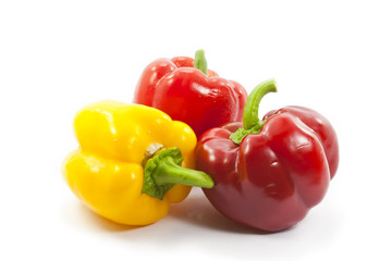 multicolored paprika on white background