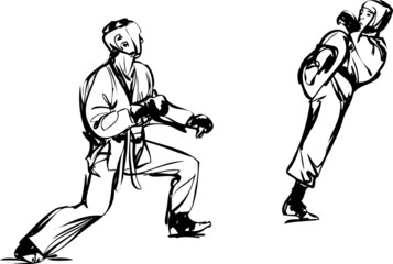 Karate Kyokushinkai sketch martial arts and combative sports