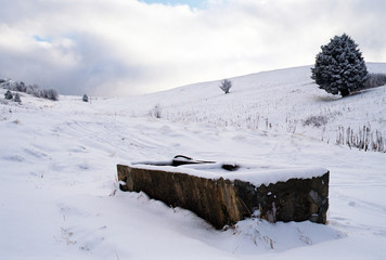 Stone water trough in snow-covered pastures