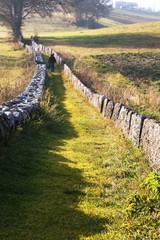 Fototapeta premium mountain trail in an old mule track through the fields