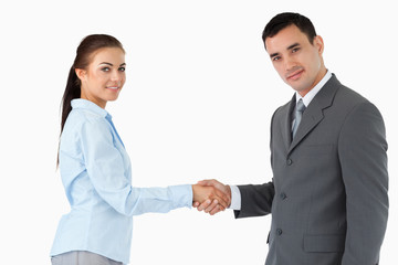 Young business partners shaking hands