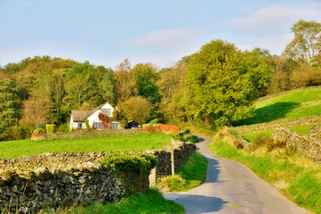 Country lane leading to a house