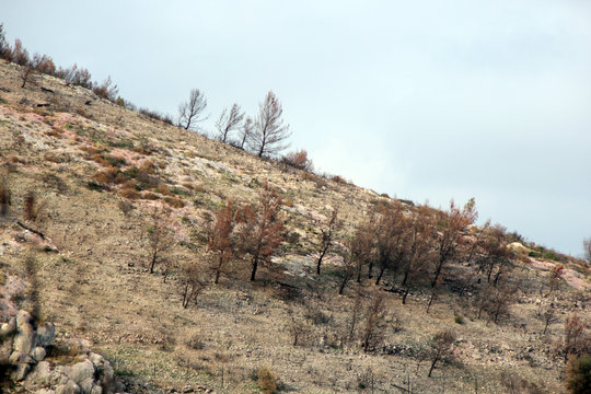 terra bruciata