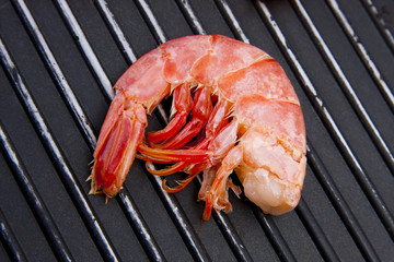 marisco fresco, langostinos