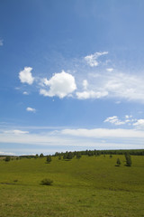 Fototapeta premium grassland landscape