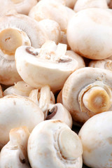 Fresh mushroom