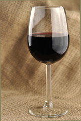 Glass of fine Italian red wine
