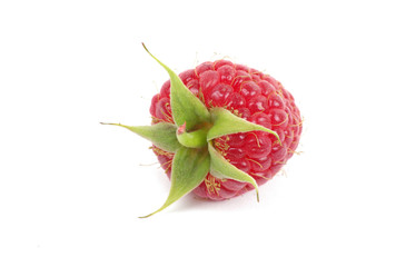 raspberry fruits