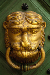 Fototapeta na wymiar Golden knocker on green door
