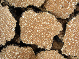 truffle's texture