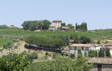 Chianti in Tuscany