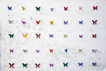 Fototapeta na wymiar Rows of Butterflies