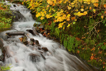 Wahkeena Falls at Columbia River Gorge in the Fall