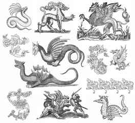 Dragon theme illustration