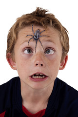 terrified boy with spider on his face