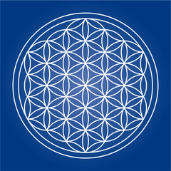 Flower of Life - editable vector lines