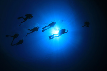 Obraz na płótnie Canvas Group Scuba Diving in the Sea