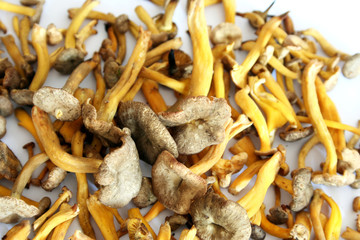 Chanterelles en vrac