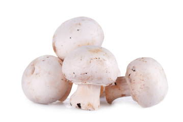 fresh mushroom