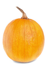 Orange Pumpkin isolated on white background