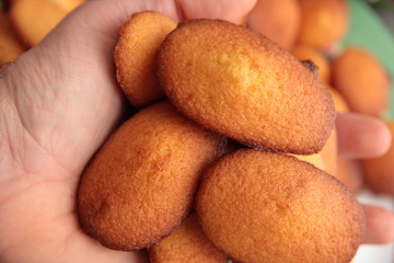 madeleinette