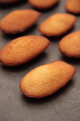 madeleinettes