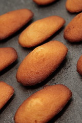 madeleinettes