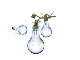 Eco tree lightbulb.