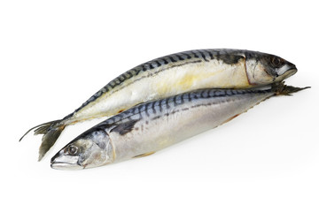 Two fishes