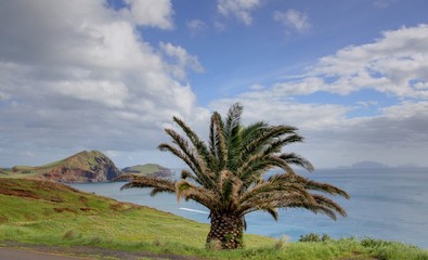paysage à madere