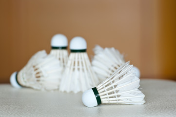 Fototapeta na wymiar badminton wolant