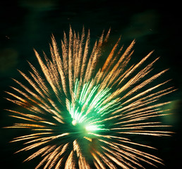 Firework