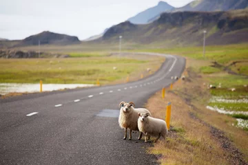 Gordijnen Iceland landscapes © Galyna Andrushko