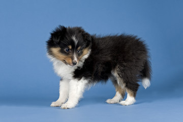 R&uuml;ckblick 10427