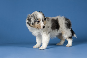 R&uuml;ckblick 10428