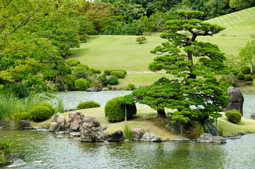Japanese garden