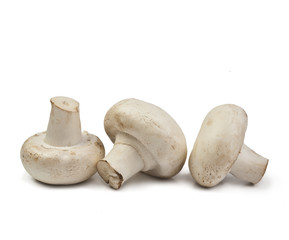 fresh mushrooms isolated