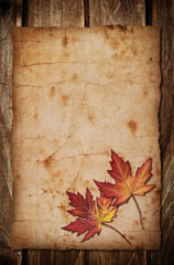 Autumn Leaves on the Old Paper sheet