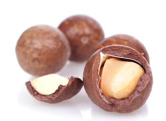 macadamia nuts on white background