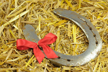 Hufeisen mit Schleife