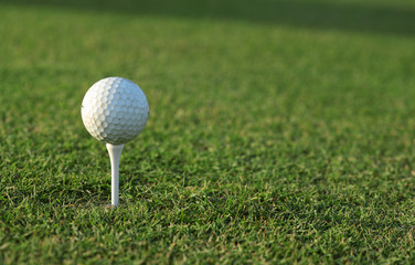 golf ball on green grass