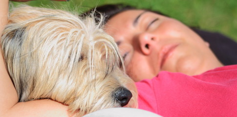 Dolce amico a quattro zampe dorme sul braccio della padrona