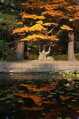 紅葉の姿見