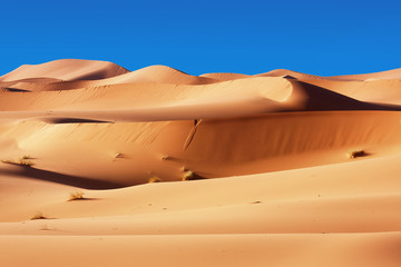 Moroccan desert dunes
