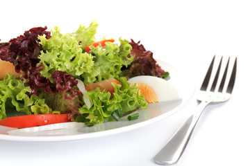 Bunter Salat mit Ei