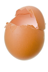 broken egg shell