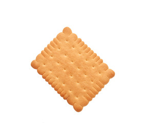 Tasty biscuit isolated