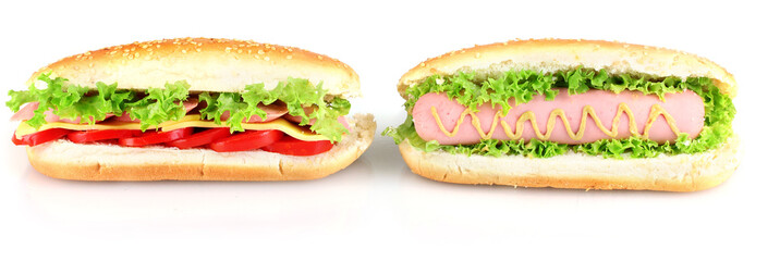 Delicious hot dog and sandwich isolated on white